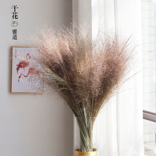 天然粉黛乱子草干花 网红梦幻草抖音花束婚庆花客厅装饰花网红草