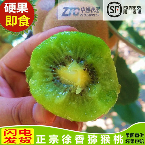 周至孕妇水果徐香猕猴桃包邮