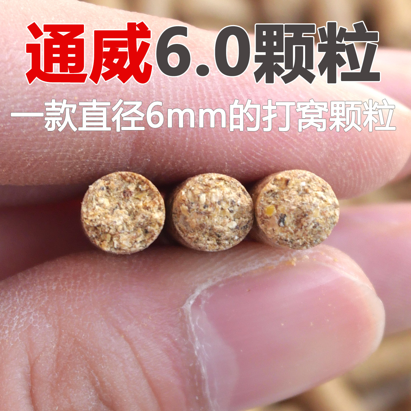 通威6毫米打窝皮筋原塘颗粒图片