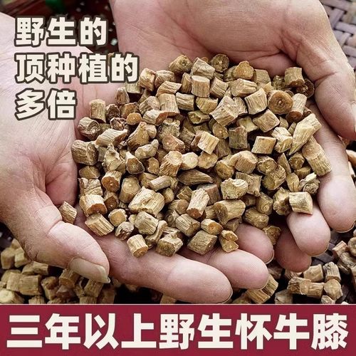 【真野生】今年新货老怀牛膝500g
