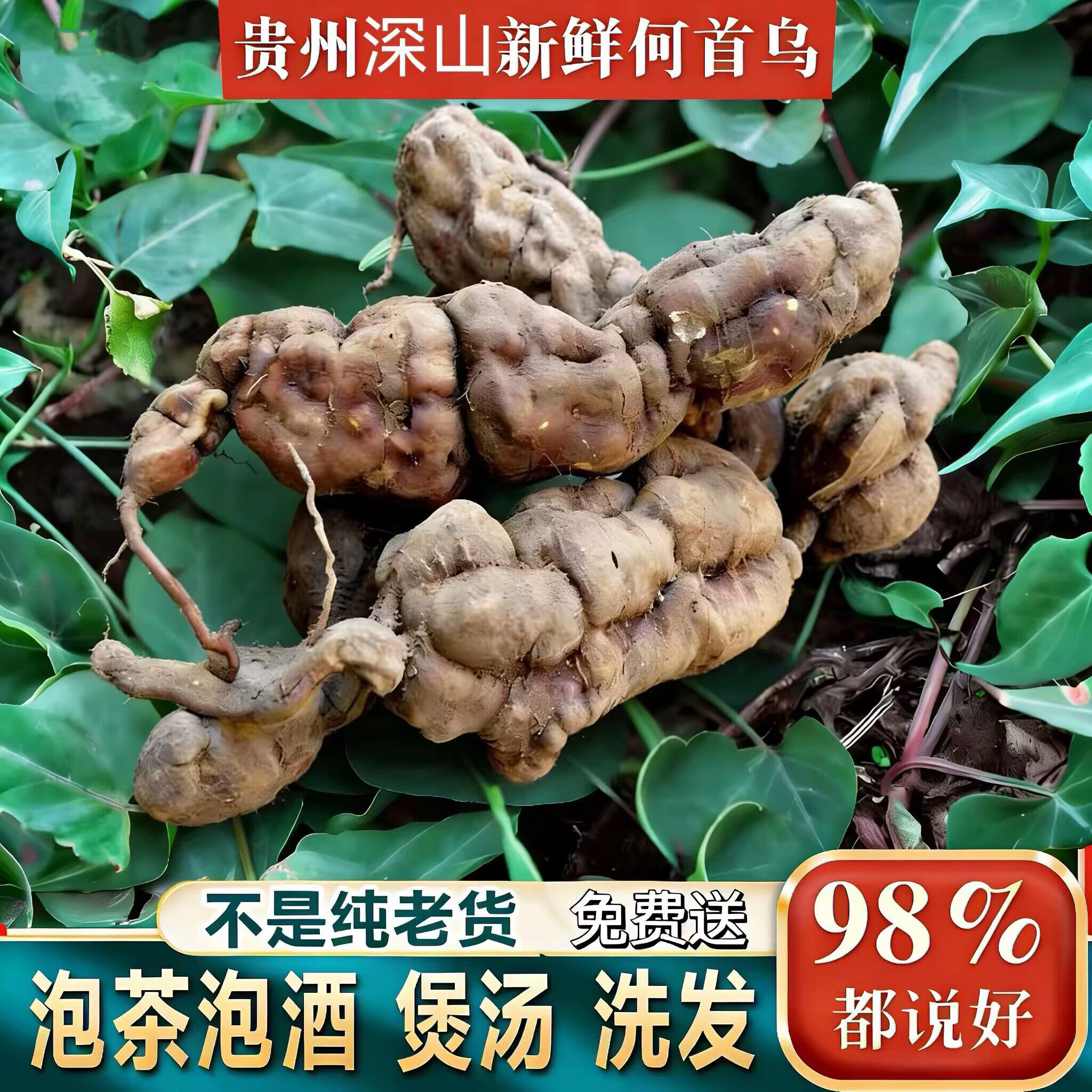 野生大何首乌深山新鲜生何首乌黑发煲汤泡茶护发合首乌野生中药材