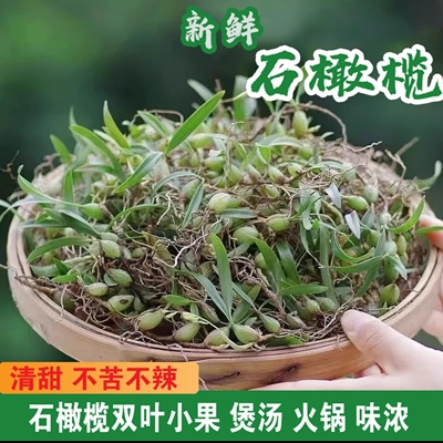 新鲜石橄榄双叶中小果500g石仙桃果上叶煲炖汤材料叶岩珠石米包邮