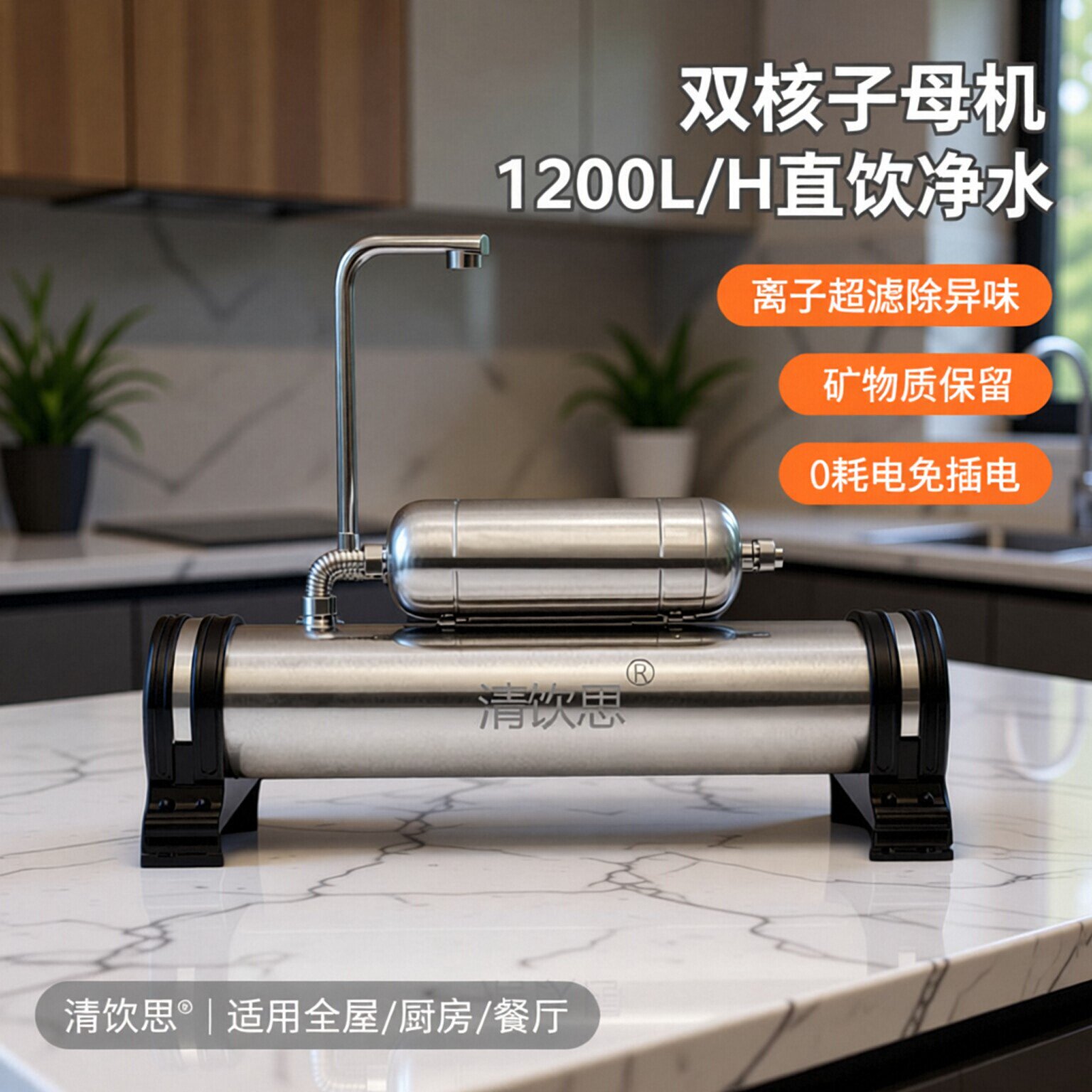复合净化水超滤机净水器 离子超滤除异味出水直饮双核子母机1200L