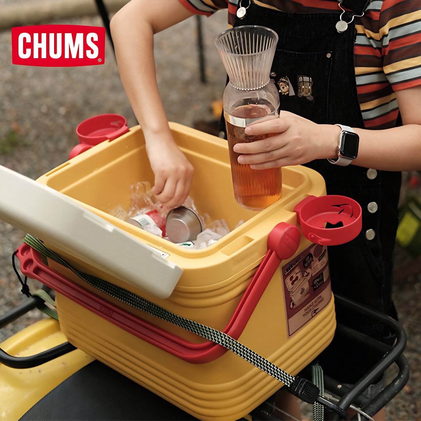 CHUMS洽洽鸟高颜值露营装备保温箱户外车载野餐冰桶CH62-2123