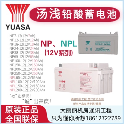 汤浅蓄电池12V系列NP100-
