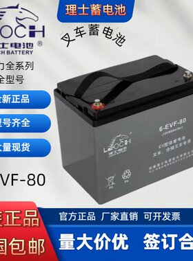 理士6-EVF-100/DT126/EV6312系列新能源观光车电动堆高机动力蓄电