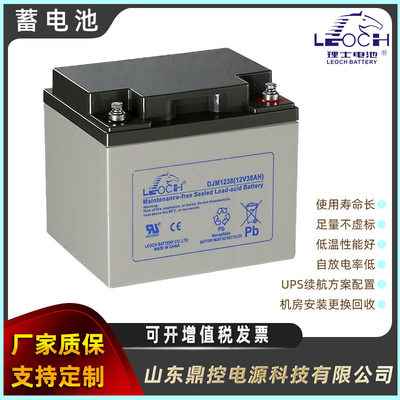 LEOCH理士R1224W阀控式铅