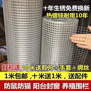 热镀锌钢丝网防老鼠铁丝网养殖养鸡网养鸽子防鸟阳台防护防猫网