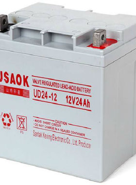 USAOK蓄电池UD100-12/12V65 38ah 24AH适用UPS直流屏EPS电源现货