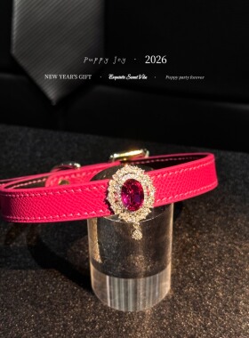 PuppyJoy独家「绯红咏叹」牛皮choker项圈高级手工定制