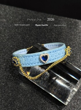 PuppyJoy独家「蓝心闪闪手环」巨型蟒蛇皮手环高级手工定制