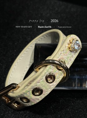 PuppyJoy独家「香槟」香槟金蛇皮手环高级手工定制