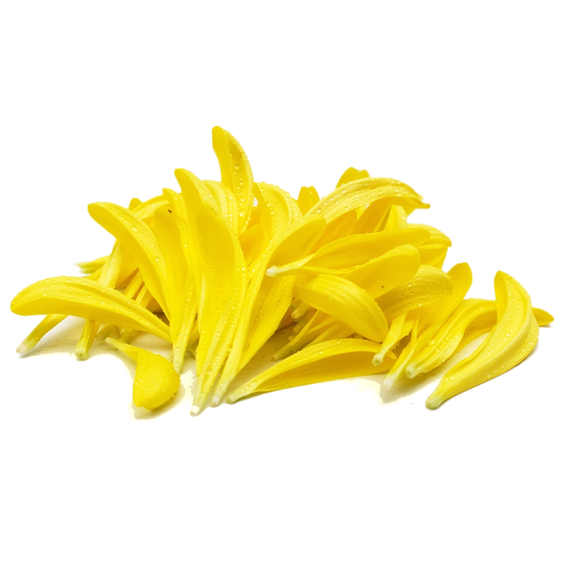 新鲜蓝牌酒店摆盘装饰20g菊花瓣