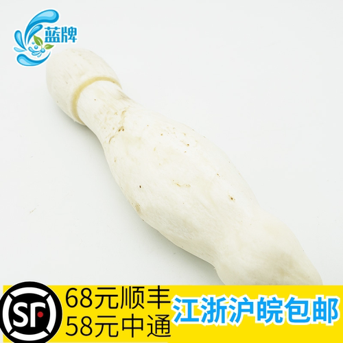 新鲜蓝牌真空包装鸡腿菇