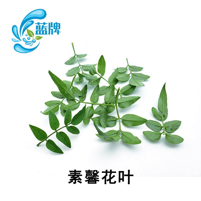 蓝牌新鲜花叶西餐摆盘装饰