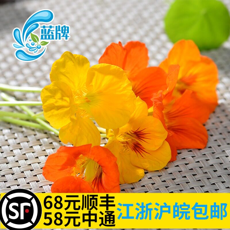 【蓝牌】新鲜旱金莲花 甜品酒店西餐装饰摆盘非三色堇鲜花20朵