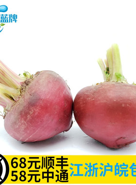 【蓝牌】新鲜条纹菜头 条纹萝卜Baby Striped Beets西餐摆盘500g