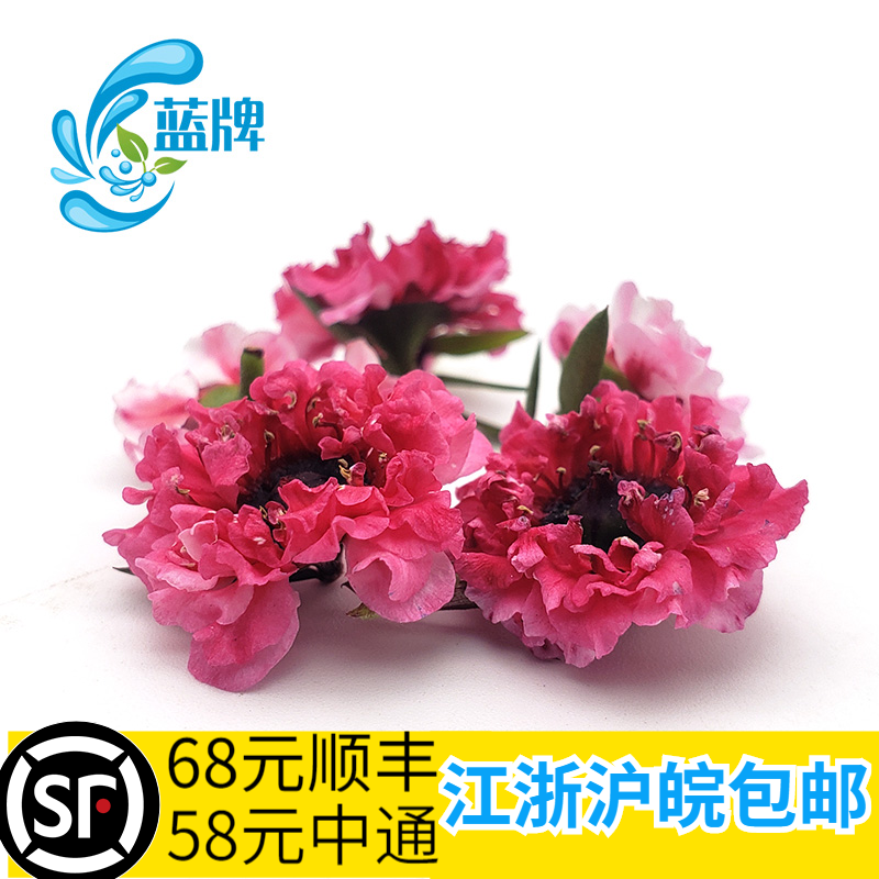 【蓝牌】新鲜澳洲茶花 梅花 松红梅 日料餐饮装饰摆盘花草30朵