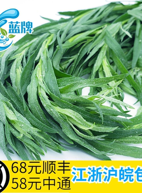 【蓝牌】新鲜龙蒿草 Tarragon新鲜蔬菜 香艾菊  香料 他拉根香草
