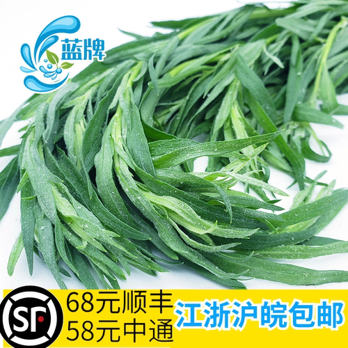 【蓝牌】新鲜龙蒿草蔬菜