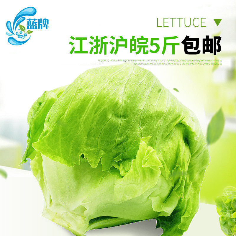 【蓝牌】新鲜圆生菜iceberg沙拉菜球生菜西餐色拉菜500克5份包邮