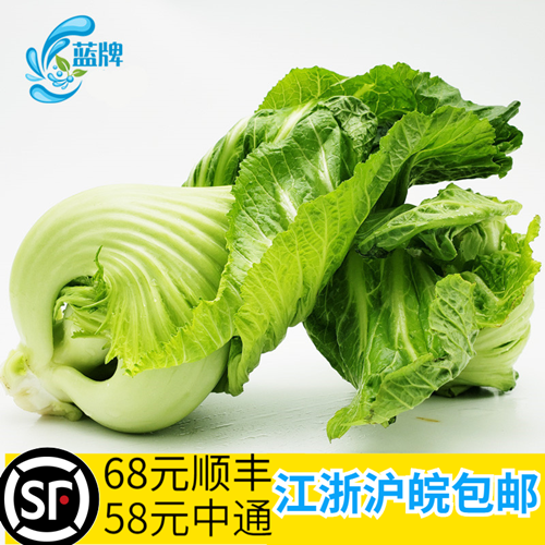 【蓝牌】新鲜蔬菜 芥菜  芥兰 芥蓝 芥烂菜 非芥球 非芥菜头500g
