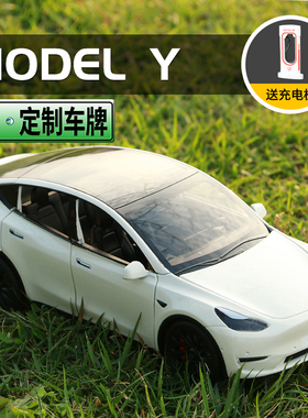 仿真合金车模型特斯拉modle3新能源汽车收藏摆件送男生礼物毛豆3