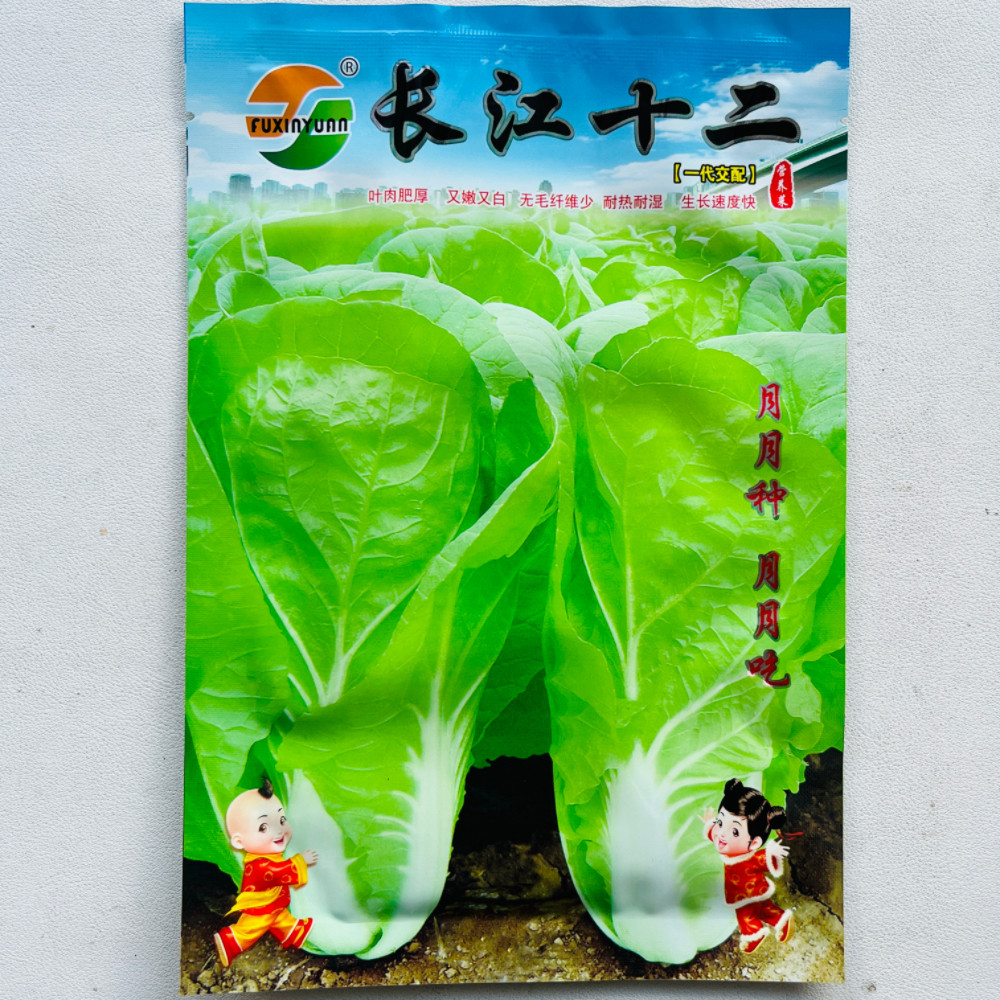 长江十二快菜种子农家菜园春秋播小白菜种籽耐热耐湿航白菜蔬菜孑