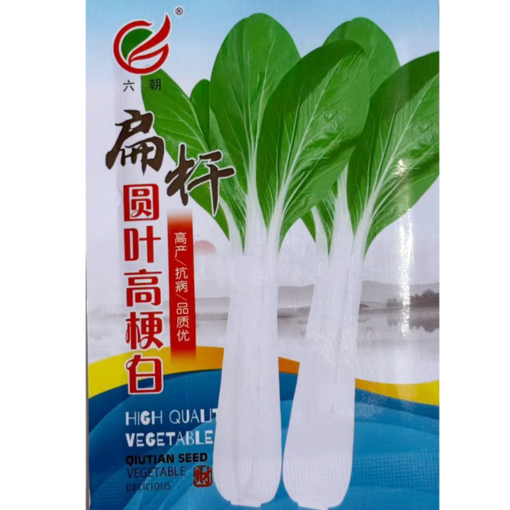 高梗白小白菜种子长杆白菜种籽秋播高杆菜籽种箭杆白蔬菜种孑种籽