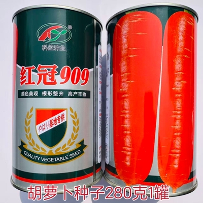 红冠909胡萝卜种子农家秋播中早熟三红胡萝卜种籽丰产罗卜蔬菜种