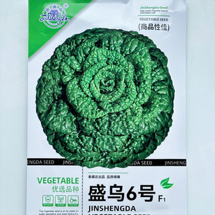 盛乌六号黑心乌种籽子矮颗乌塌菜秋播耐寒塌棵菜杂交一代蔬菜种子