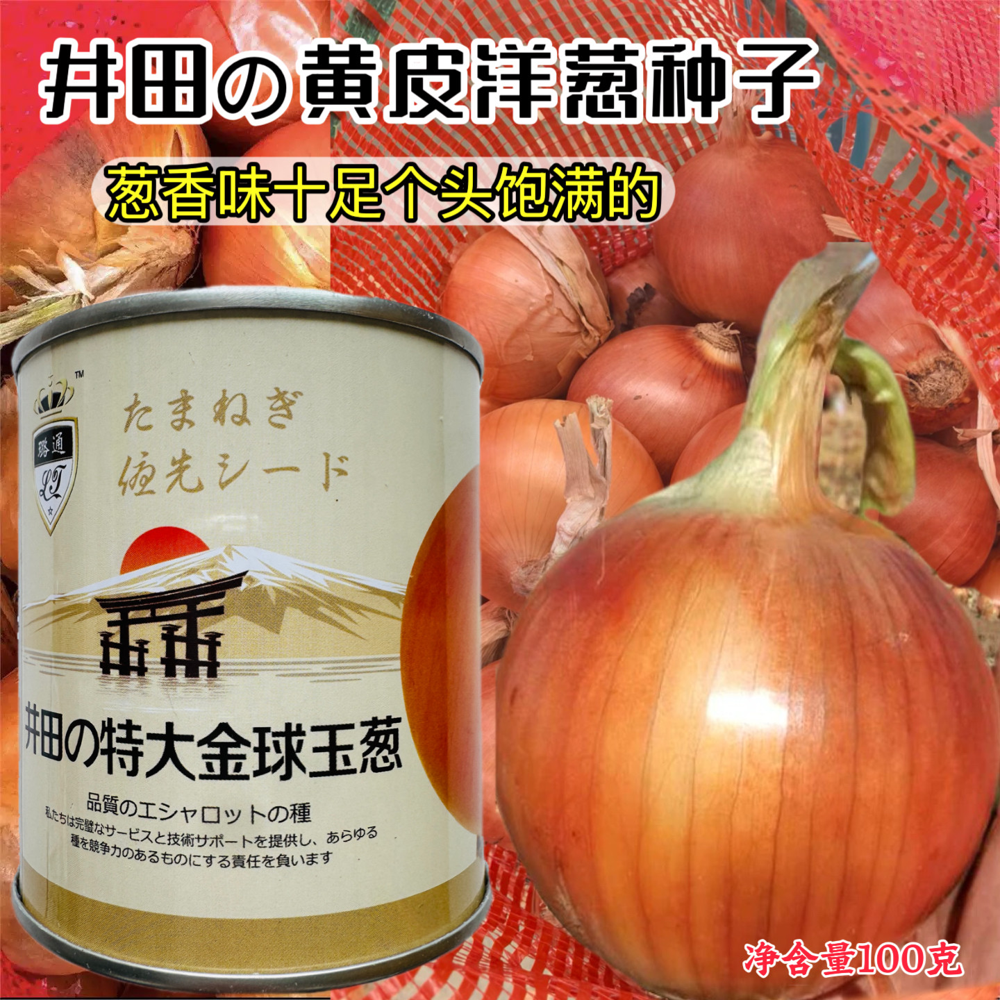 特大金球玉葱种子黄皮洋葱种籽农家菜园中熟圆球形阳葱种孑蔬菜种