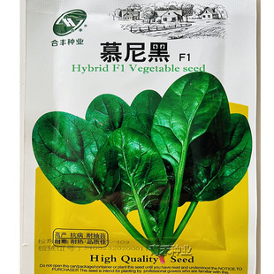 合丰慕尼黑菠菜种籽大叶菠菜种子农家阳台四季 蔬菜种孑红根菠菜籽