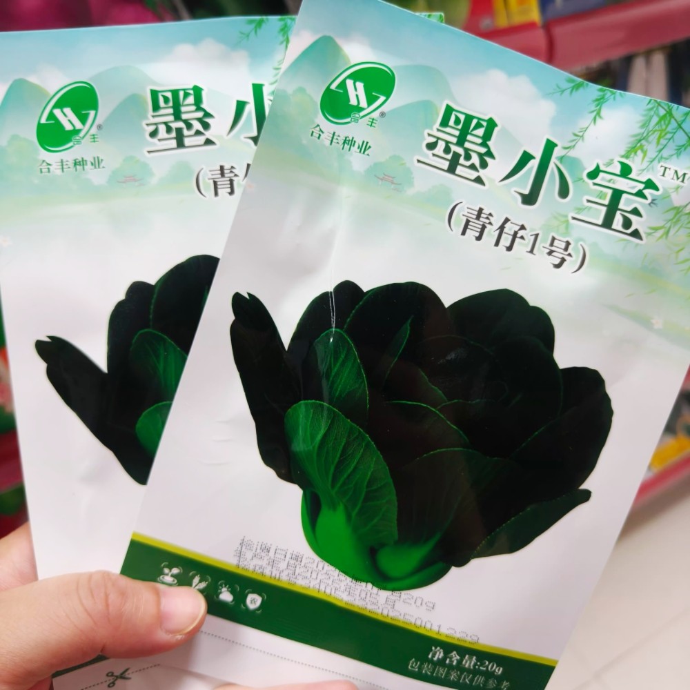 合丰墨小宝青仔1号青菜种子矮颗型青梗菜种籽农家秋播耐寒蔬菜孑图片