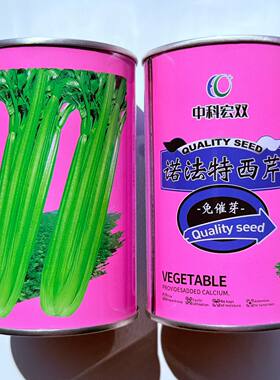 芹菜种子诺法特西芹种籽农家春秋播脆嫩实心大芹菜杂交种蔬菜种孑