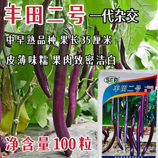 丰田二号茄子种子紫红细长茄种籽中早熟味糯农家耐热丰产蔬菜种子