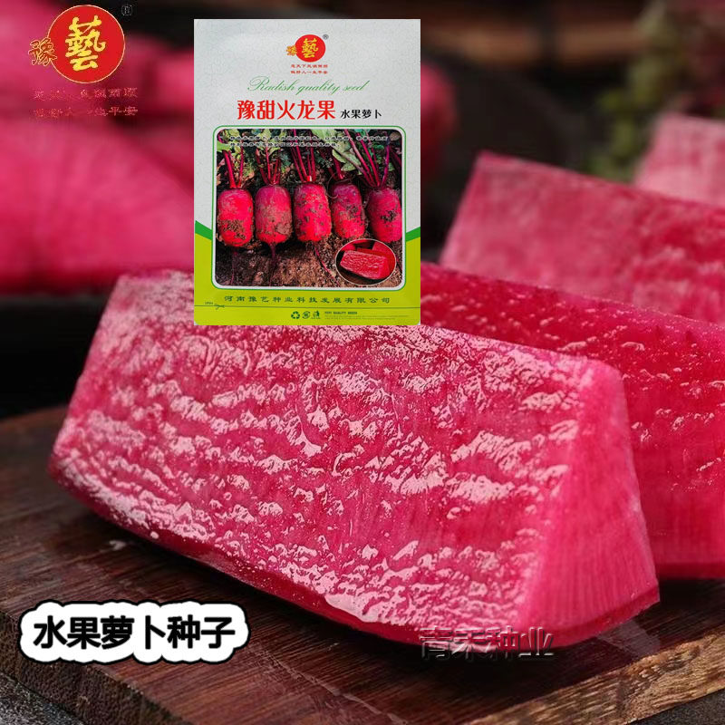 豫甜火龙果水果萝卜种籽早熟秋播特色甜脆多汁水果红萝卜种子种籽