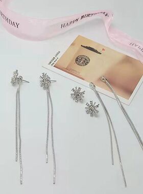 耳环简约百搭银色女水钻