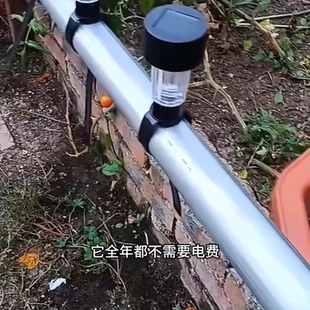 2026新款太阳能扎带灯彩灯带草坪庭院户外婚礼氛围景观小夜灯