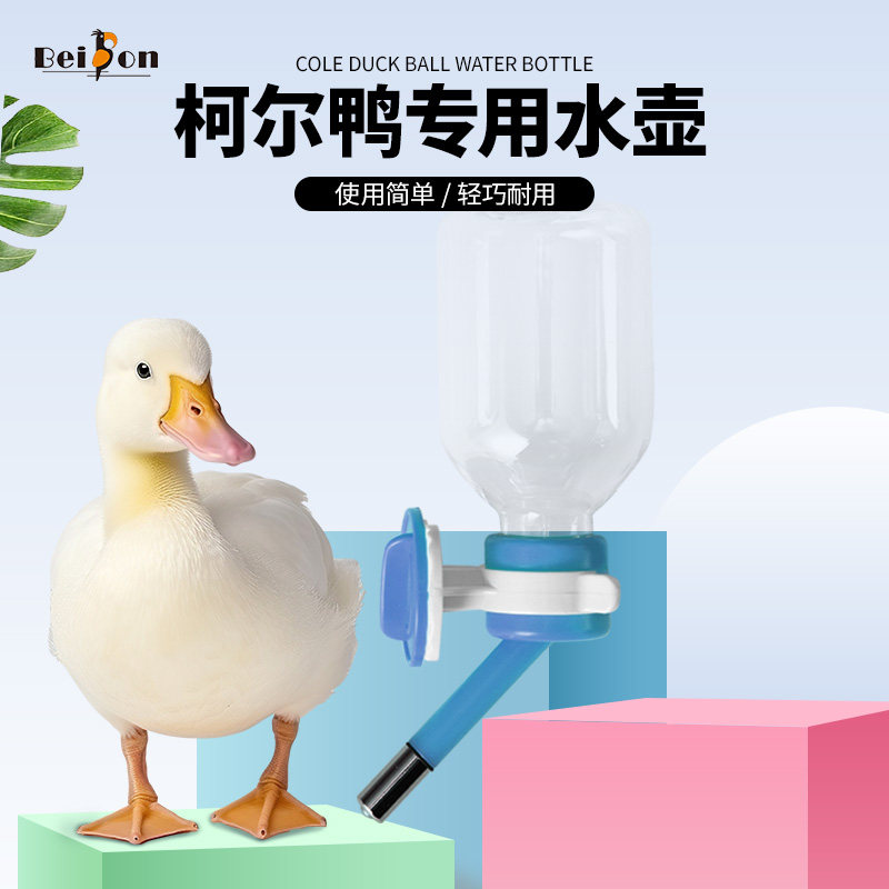 柯尔鸭喂水器自动喂水鸭子喝水水壶饮水器芦丁鸡喝水器水盆碗防翻