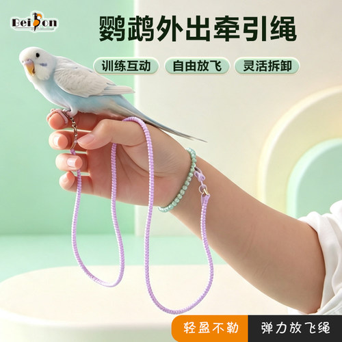 鹦鹉放飞绳外出便携鸟牵引绳脚环