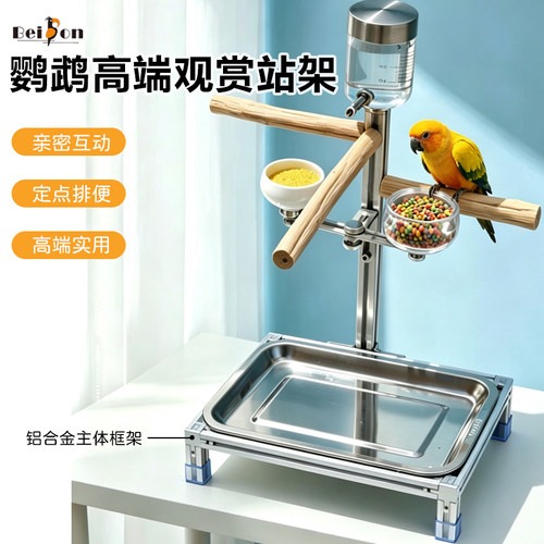 鹦鹉站架桌面玄凤虎皮