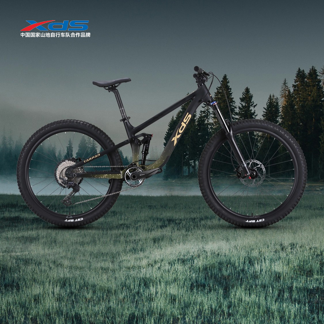 喜德盛新款成人进阶软尾山地车