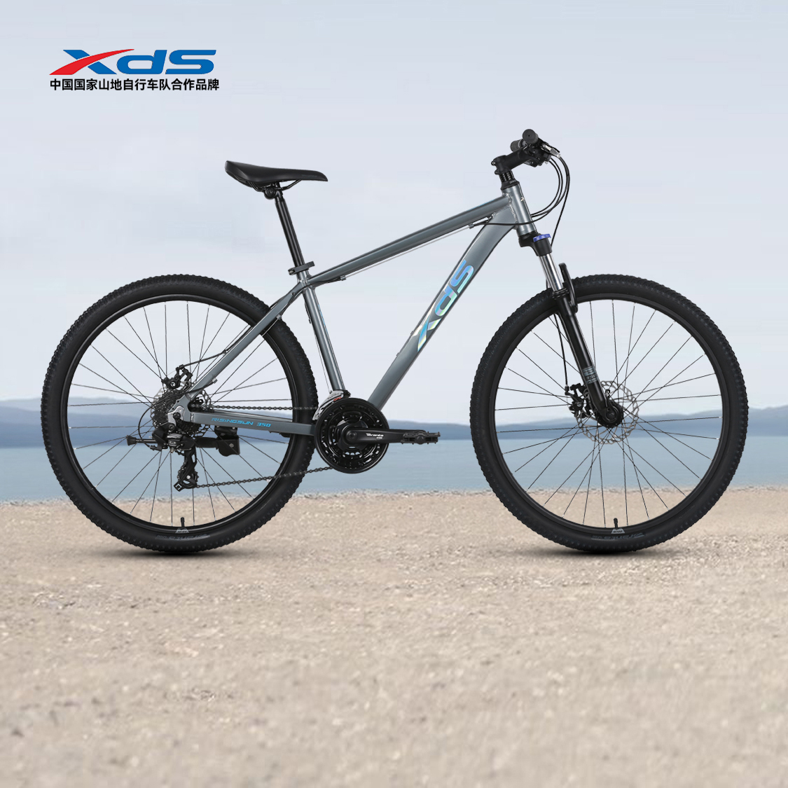 喜德盛禧玛诺24速入门运动单车