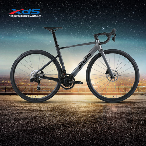 喜德盛25款AD500功率计电变单车