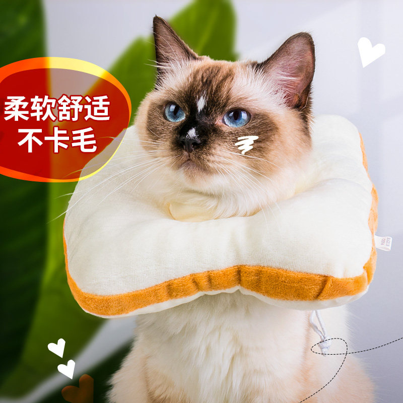 姜露宠物 猫咪头套防舔防咬幼猫伊丽莎白圈伊莉莎白软圈伊利沙白