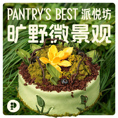 派悦坊微景观生日蛋糕牛油果芒果奶油慕斯甜品同城配送北京上海