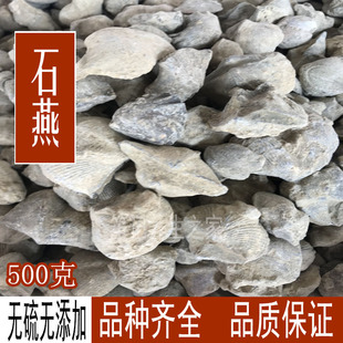 包邮 中药材石燕500克 石燕子 大石燕 燕子石