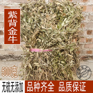 中药材紫背金牛500g包邮天然金不换 大金牛草