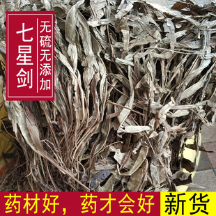 中药材七星剑七星草骨牌草 丹瓦剑草 500克包邮